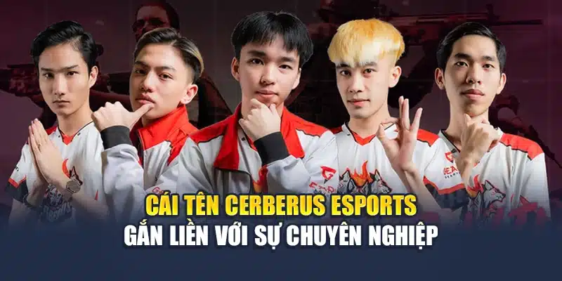 Cái tên Cerberus Esports gắn liền với sự chuyên nghiệp